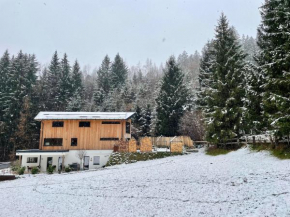 Waldblick - moderner Neubau - Self-Check-In - kein Verkehr - am Wald - 9 Minuten zum Innsbrucker Zentrum - Parkplätze vor Haustüre - 1 Terrassenwohnung mit Garten - 1 Doppelzimmer mit Garten